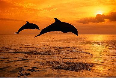 演员表示电子游戏剧本水平已轻松超越部分影视作品