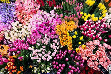 黑白手绘风格冒险游戏《白之旅》发布上市宣传片 明日发行